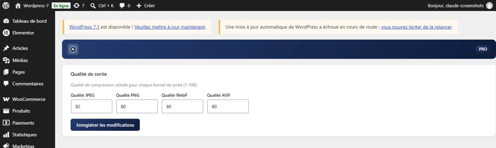 Capture d'écran des réglages de qualité de sortie par format (JPEG, PNG, WebP, AVIF) du plugin ImagePipe Pro